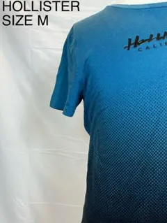 Hollister ホリスター Tシャツ ブルー ブラック グラデーション M