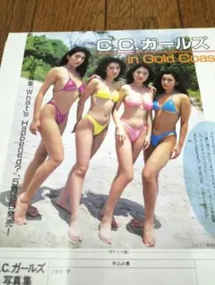 Item thumbnail for item 8afdf2d2-1185-4ad3-98f3-8b172039aaa4