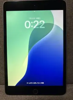 iPad mini 第5世代 64GB Wi-Fiモデル(ケース&カバー付き)