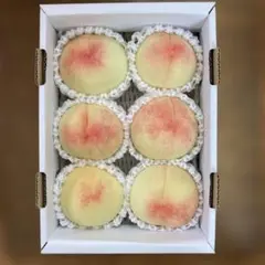 岡山県産 桃 白鳳 GW様ご注文の品 - メルカリ