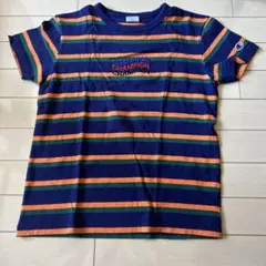 Champion ストライプTシャツ 150サイズ