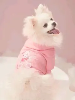 ペット 犬の服 ドッグウェア 裏起毛パーカー ピンク くま フード付き Lサイズ