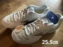 Item thumbnail for item 4e37b4de-0e6e-4caa-acdd-8a34d28cf5da