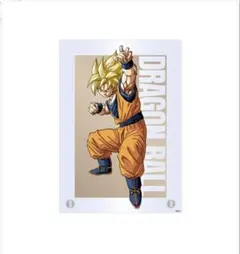 JCS限定 『DRAGON BALL』箔入りアクリルアート 完全版22巻 最安 - メルカリ
