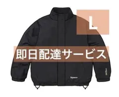 Item thumbnail for item a4729780-1574-43f6-a962-49cc2c55c994