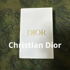 〖新品未使用〗DIOR 激レア入手困難 ༘*⋆ メタルロゴ クラッチ ポーチ 新品未使用〗DIOR 激レア入手困難 ༘*⋆ メタルロゴ クラッチ ポーチ