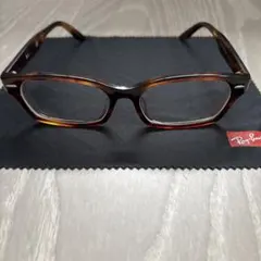 Ray-Ban RB 5344-D メガネ拭き付き
