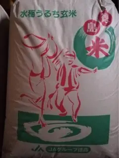 新米令和7年収穫 2025年産 農家直送三重県産コシヒカリ精米10kg10キロ