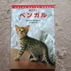 [猫クラブ]ベンガル