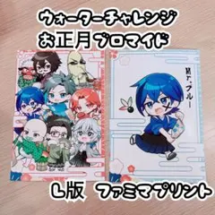 ウォーターチャレンジ お正月ブロマイド L版 すまない先生