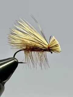 Item thumbnail for item 72c47d96-e4f6-4b70-b8c5-6a97a7ee1a16