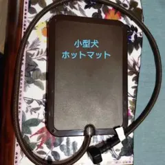 Item thumbnail for item 53fb329b-3279-48ac-952f-860318999863