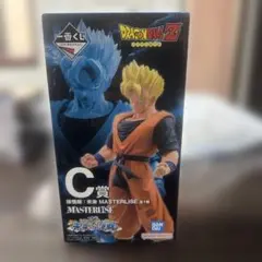 Item thumbnail for item 2417e6d1-4e9b-494f-ac97-1d27e4f51b13