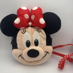 ディズニーリゾート　ミニーマウス　パスケース　ポシェット　コインケース