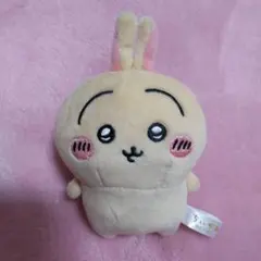 ララにゃん　1/2-1/7発送不可様 リクエスト 3点 まとめ商品