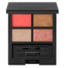 限定品 セルヴォーク ヴァティックアイパレット EX02アイシャドウパレット