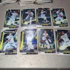 Item thumbnail for item d54a2062-0cff-4b59-a4ed-af02a8c2cdb1