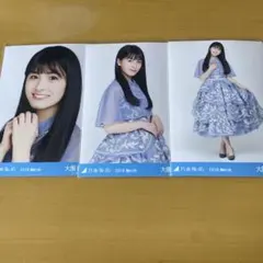 最終値下げ！大園桃子 生写真 26コンプ 大園桃子 生写真 26コンプ 値下げ済み】乃木坂46 大園桃子 生写真