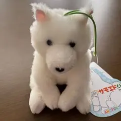 2026年最新】くったりサモエドの人気アイテム - メルカリ