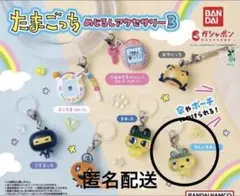 新品未開封 たまごっち めじるしアクセサリー3 やんぐまめっち