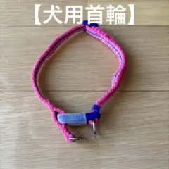 調整可能なピンクの犬用首輪