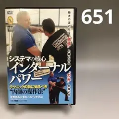 651★システマの核心「 インターナルパワー 」BABジャパンDVD ミカエル