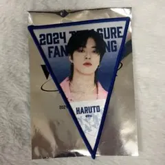 Item thumbnail for item 3bdf2f2e-b3f0-406c-bb7c-d3aba755e970