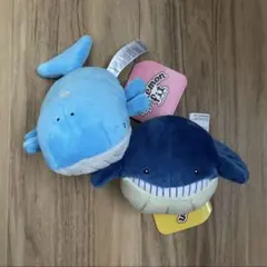 ポケモンfit ホエルコ ホエルオー
