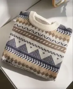 長袖ニット 秋服 XL