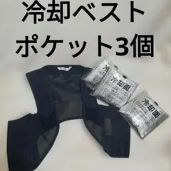 熱中症対策　冷却メッシュクールベスト 冷却剤3個付き　ネイビーM L LLありのサムネイル