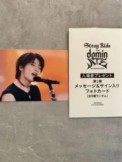 Straykids dominATE 映画 入場特典 アイエン フォトカード