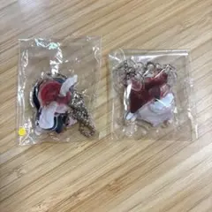 ささみちゃん　アクリルキーホルダー