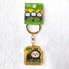 Item thumbnail for item be8b8aee-af6b-48ad-8ba6-eabc048d3a59