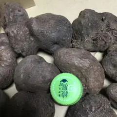 2026年最新】山芋むかごの人気アイテム - メルカリ