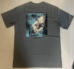 パタゴニア　Tシャツ　xs