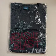 新品　嵐 ライブ ARASHI BLAST in Hawaii Tシャツ