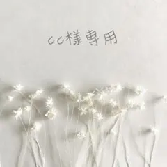 ❁︎cc様専用ページ❁︎❁︎