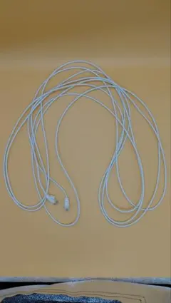 ELECOM Cat6A LANケーブル メッシュ ECLD-GPAM/WH70