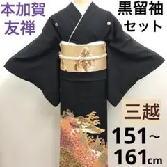 2025年最新】本加賀友禅 訪問着の人気アイテム - メルカリ