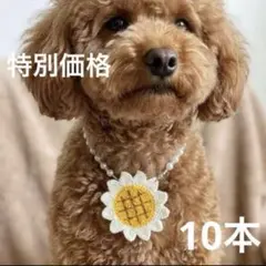 業務用 ひまわり　ペットトリミングリボン チョーカー　10本セット