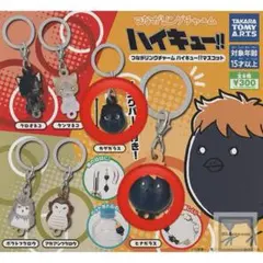 ハイキュー!! めじるしチャーム 日向 影山セット