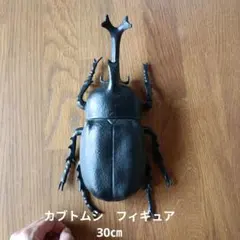 カブトムシ フィギュア ブラックカラー