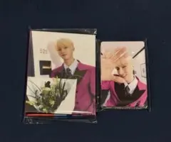 SEVENTEEN ドギョム　CARAT盤 トレカ　バインダー　匿名発送