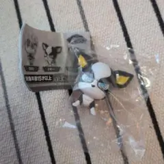 ジョジョの奇妙な冒険　イギー　ジョジョコレ　ガチャ