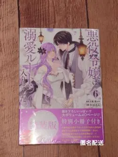 悪役令嬢は溺愛ルートに入りました!? 6 特装版 小冊子付き