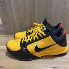 【フェデラーモデル】コート エア ズーム ヴェイパー 9.5 ツアー 27cm フェデラーモデル】コート エア ズーム ヴェイパー 9.5 ツアー 27cm