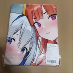 N37744 萌えタオル タペストリー シークレット