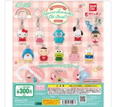 めじるしアクセサリーサンリオキャラクターズ オールスターズ Part.1