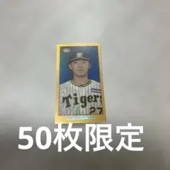 タカラプロ野球カード昭和56年阪神タイガース30枚セット - メルカリ