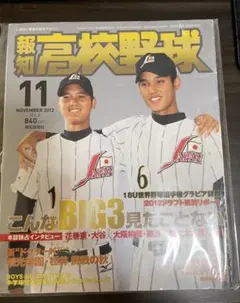 野球太郎　創刊号　001 大谷翔平　2012年　ドラフト特集号 野球太郎 創刊号 大谷翔平 表紙 2012年 ドラフト特集号 No.001 - メルカリ